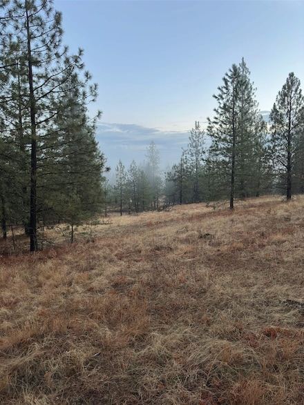 0 E Robin Ln Unit SAR202519617, Chattaroy, WA 99003
