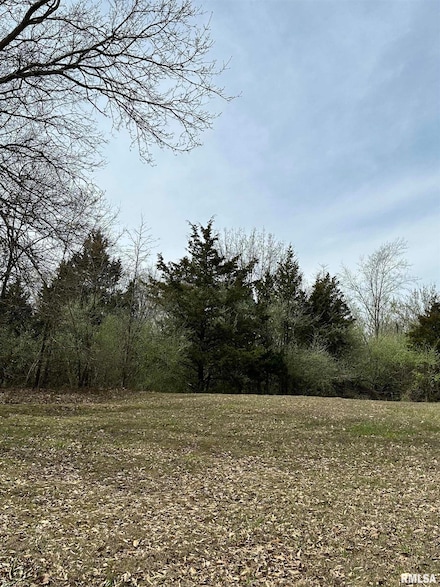 000 Gierten Rd, Raccoon Township, IL 62801