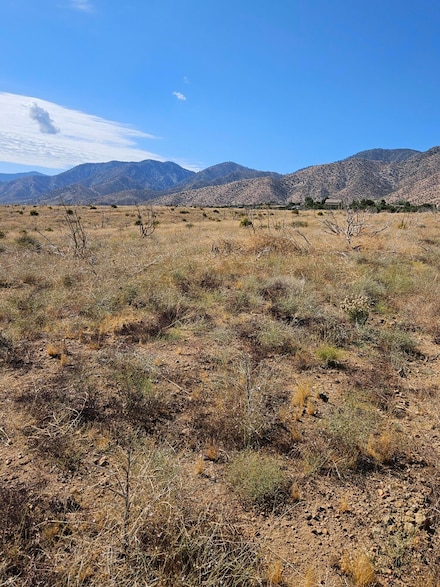 0 E Vic 118 Ste Ave Unit 214 25001190, Juniper Hills, CA 93543