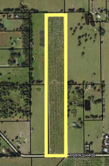 0 Popash Rd, Wauchula, FL 33873
