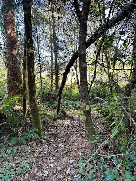 0000 Spring Pike St, Crescent City, CA 95531