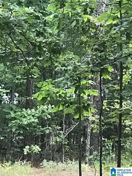0 Aurora Cir Unit 15 21375465, Alpine, AL 35014