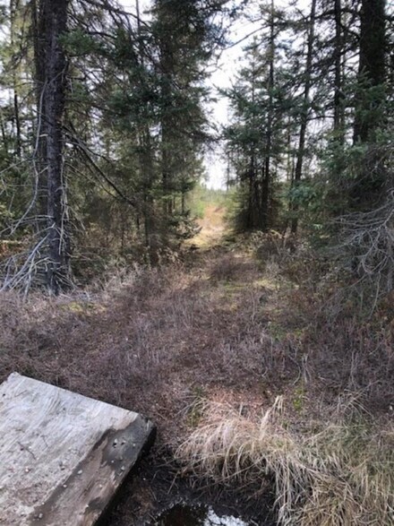 0 Swamp Rd, Merrill, WI 54452