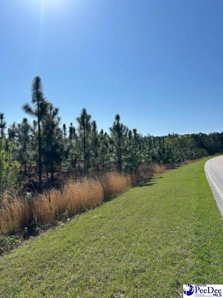 TBD S Carolina 109, Ruby, SC 29741