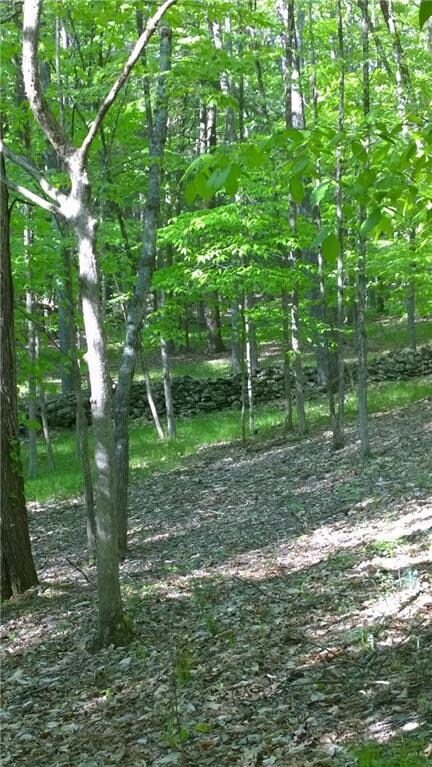 676 Raccoon Ct, Lehman Township, PA 18324