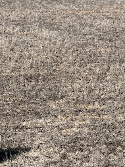 0 Road Unit SW25246370, Vidal, CA 92280