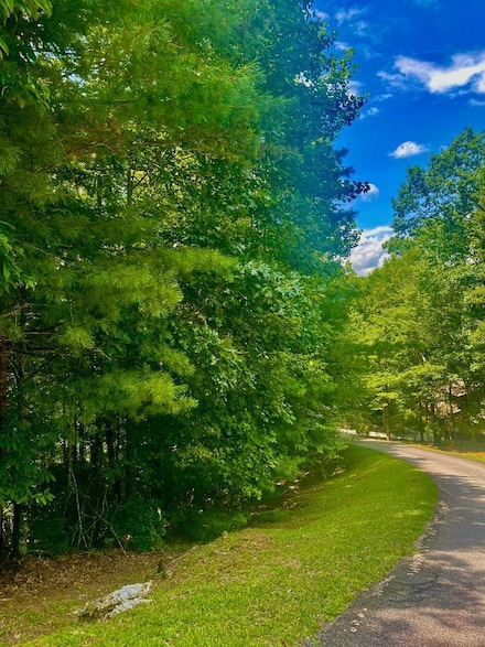 LOT22 Bryant Cove Rd, Blairsville, GA 30512