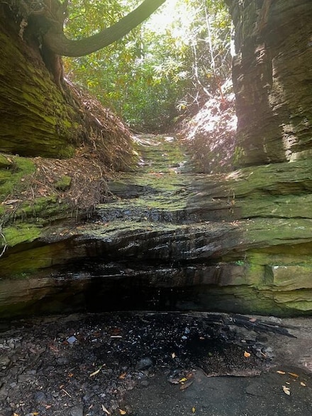 999 Wicked Oak Rd, Campton, KY 41301