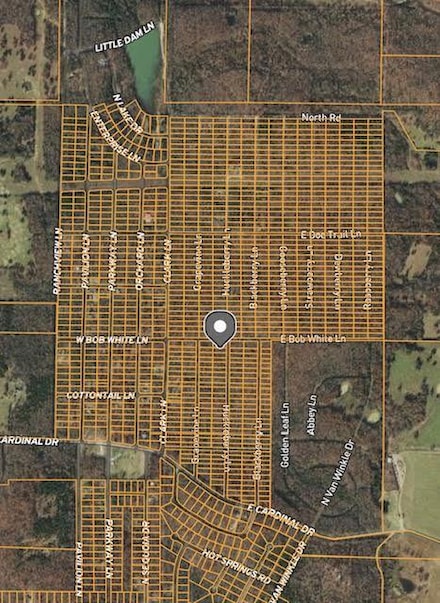 1303 Huckleberry Ln, Horseshoe Bend, AR 72512