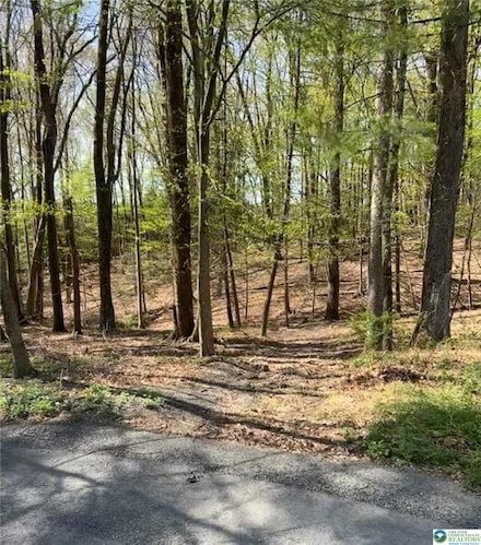 0 Tiger Lily Ln, Effort, PA 18353