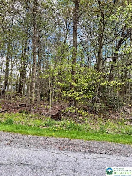 151 Sitka Dr Unit 410, Pocono Lake, PA 18347