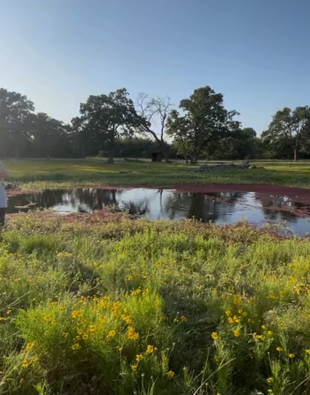 4 acres County Road 190, Anderson, TX 77830