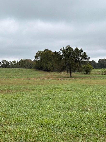 000 Meadow Ln, Washington, GA 30673