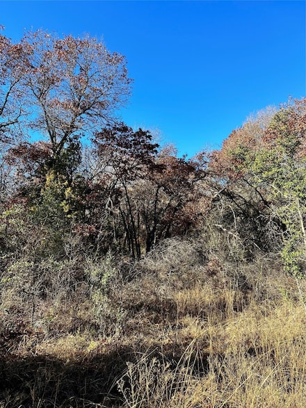 TBD Highway 206, Cisco, TX 76437