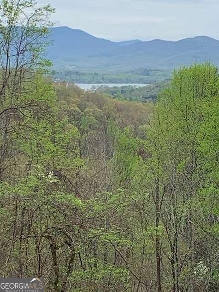 lt 10 High Meadows Dr, Hayesville, NC 28904