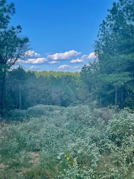 693 Timber Creek Trails South Xl, Broken Bow, OK 74728