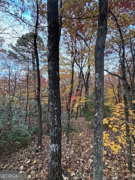 595 Whispering Dale Dr, Clarkesville, GA 30523