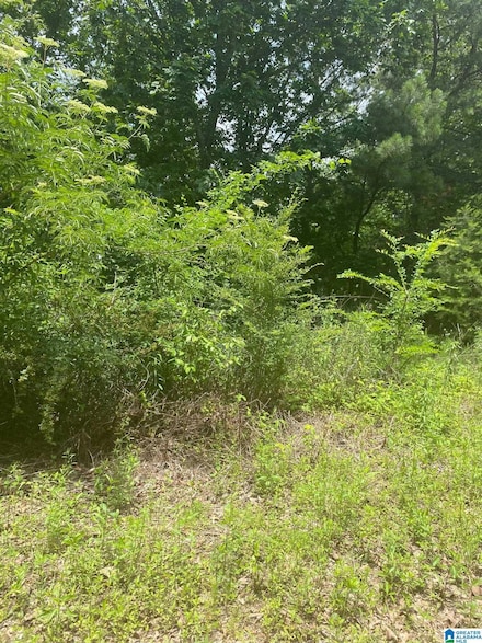 0 Jean Ridge Ln Unit 6 21409327, Odenville, AL 35120