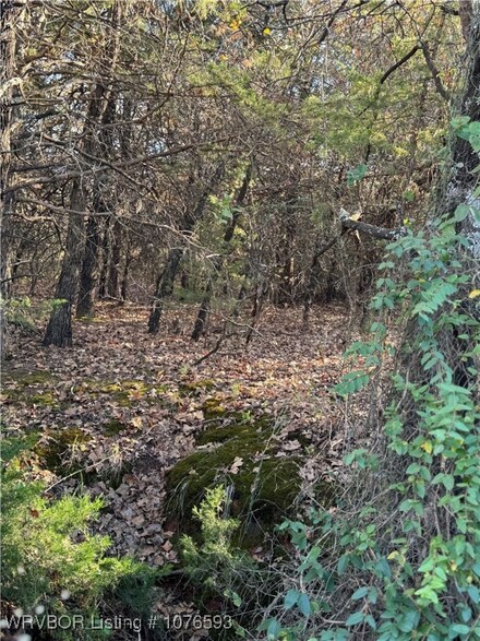 TBD Tract 2 Taylor Rd, Wellston, OK 74881