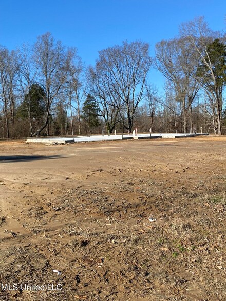 121 Prichard Rd, Coldwater, MS 38618