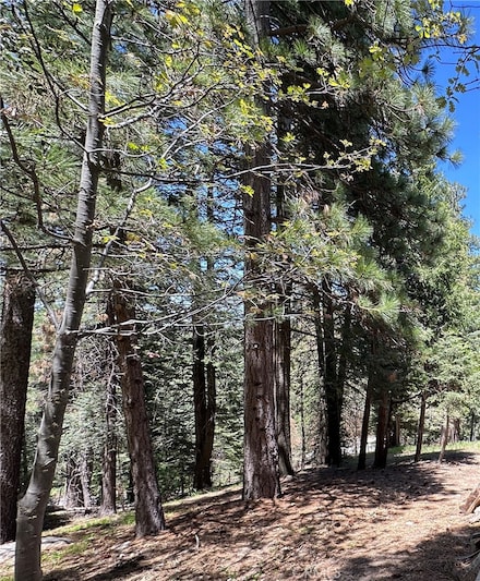 25648 Hi Ln, Twin Peaks, CA 92391