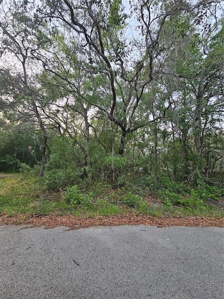 00 Doaks St, Moon Lake, FL 34654