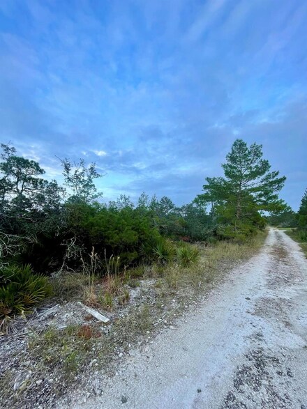3434 Alachua Ave, Sebring, FL 33875