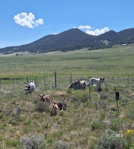 145 Atlasta Dr, Westcliffe, CO 81252