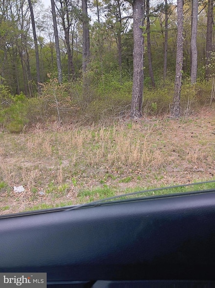 0 Us Rt 50 Hwy Unit MDWC2017500, Mardela Springs, MD 21837