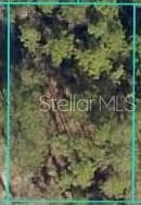 0 Tbd Sw 127th Loop, Ocala, FL 34473