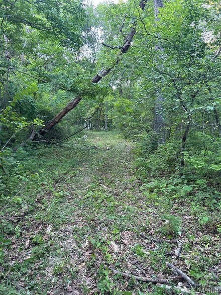 144 Jabin Farm Rd, Wright City, MO 63390