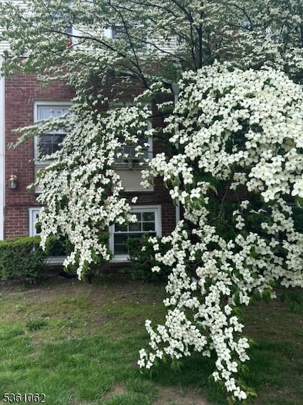 800 N Broad St Unit 17, Elizabeth, NJ 07208