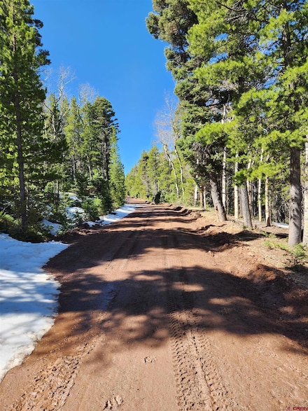 00 Special Place, Fort  Garland, CO 81133