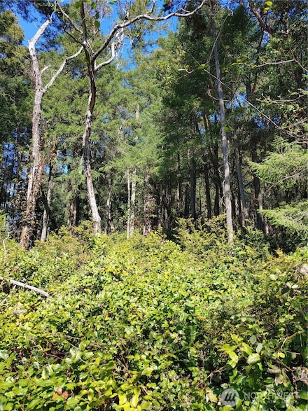 10419 Riviera Dr, Anderson Island, WA 98303