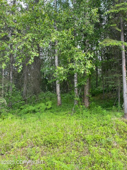 1511 S Kittiwake St, Meadow Lakes, AK 99654