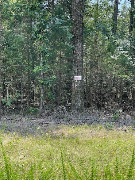 LOT 2 Pleasant Ridge Rd, Greers Ferry, AR 72067