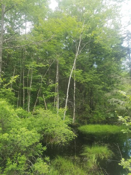 R10 005 E Route 180 Roads, Otis, ME 04605