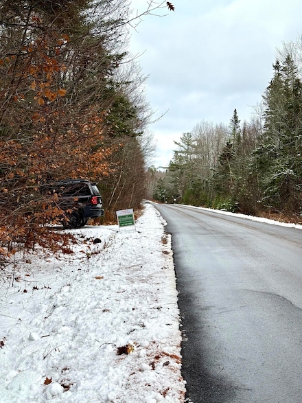 Lot 22 Off South Meadow & Roys Way Rd, Perry, ME 04667