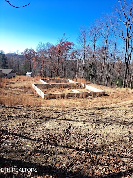 0 Evelyn Pvt Dr Unit 1322105, Huntsville, TN 37756