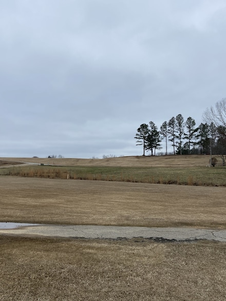0 Rest Ln, Decaturville, TN 38329