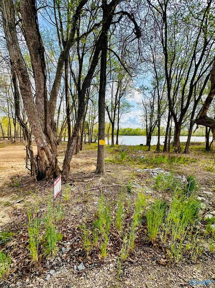 8 County Road 115, Cedar Bluff, AL 35959