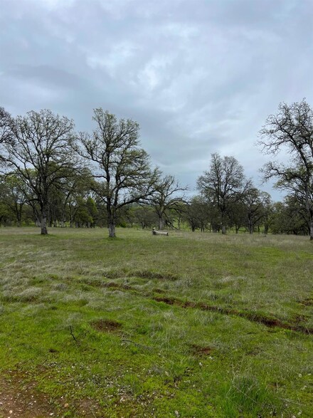 0 Dunstone Dr Unit 225030807, Oroville, CA 95966