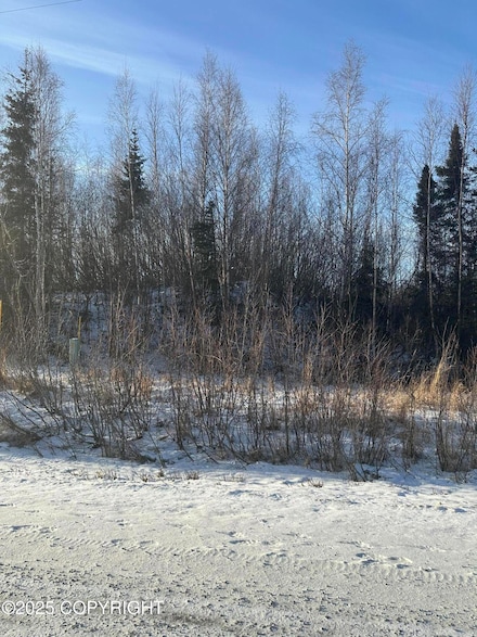 4633 S Preston Hills Dr, Knik-Fairview, AK 99654