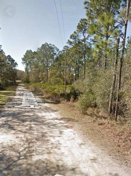 0 Appaloosa Dr Unit MFRO6317935, Interlachen, FL 32148