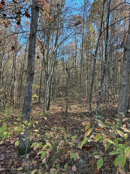 Lot 94 Parkstown Rd, Wilder, TN 38589