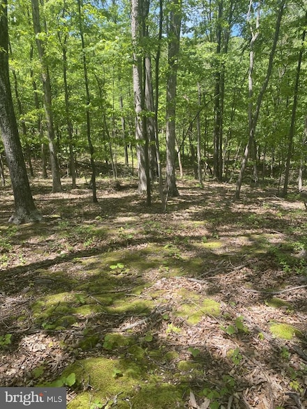 0 Rice Rd, Hancock, MD 21750