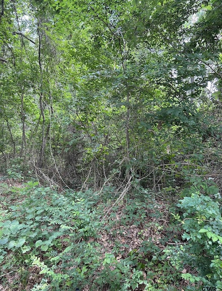 467 Williams St, Rusk, TX 75785