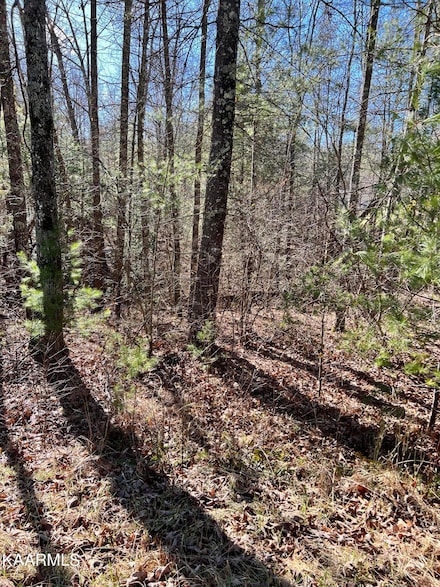 136 Natchez Cir, Crossville, TN 38558