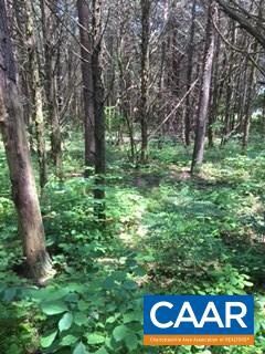 A34 Cedar Meadow Dr, Nellysford, VA 22958