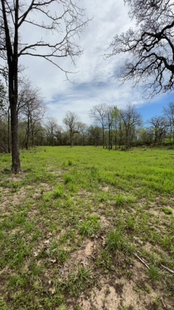 45 Hagen Lee Ln, Mineral Wells, TX 76067